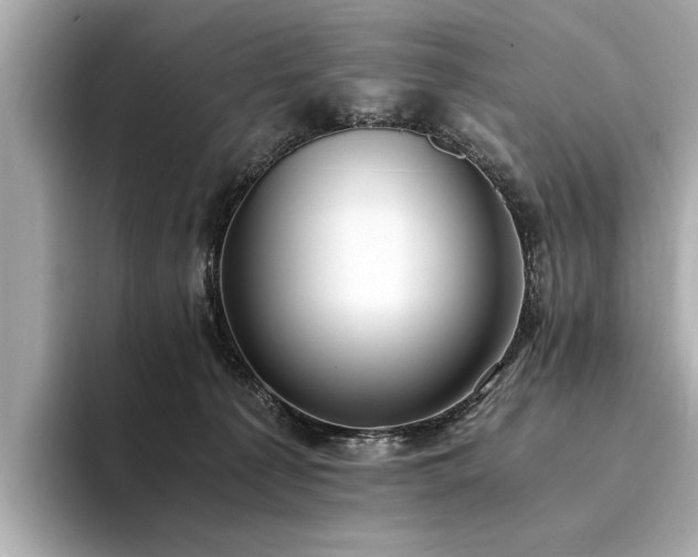 X0000094320225200711021357