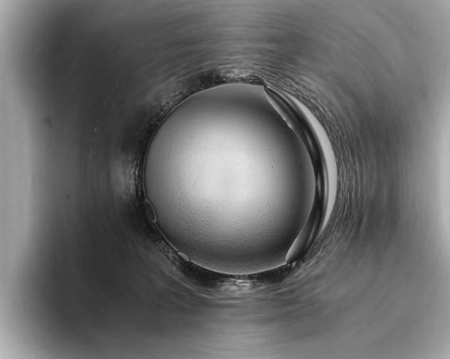 X0000094320227200711021357