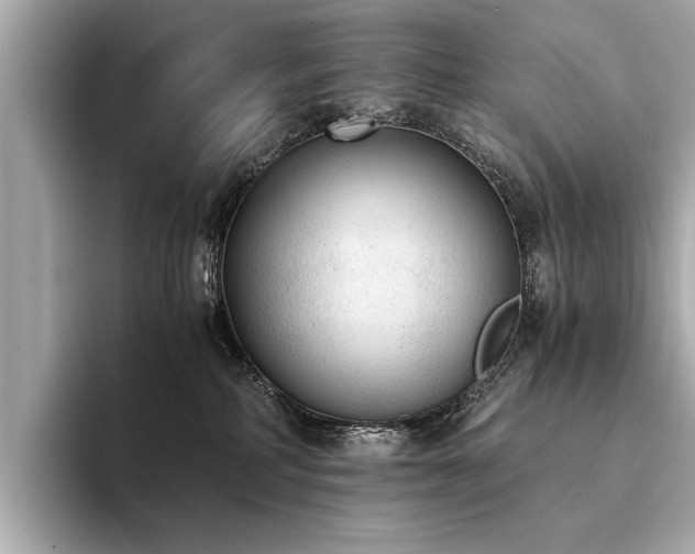 X0000094320234200711021357