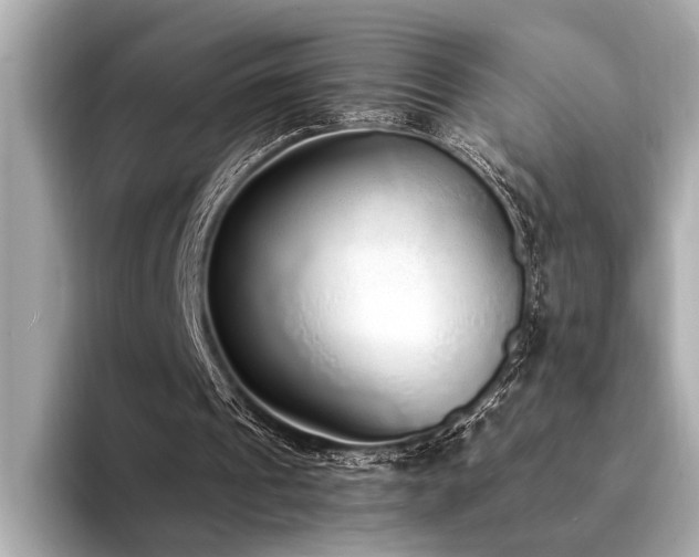 X0000094320241200711021357
