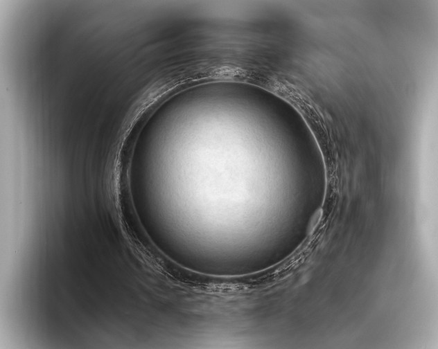 X0000094320242200711021357