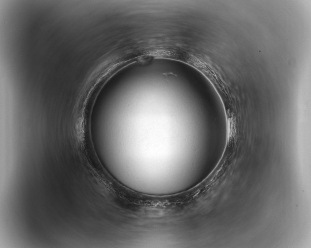X0000094320243200711021357