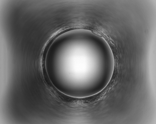 X0000094320244200711021357