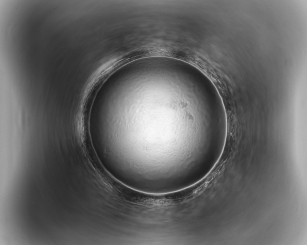 X0000094320245200711021357