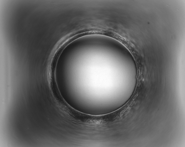 X0000094320247200711021357