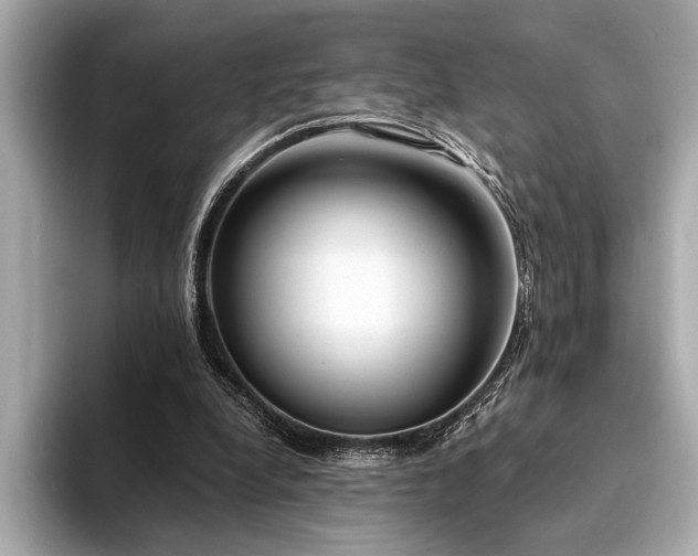 X0000094320248200711021357