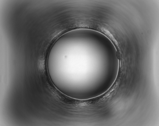 X0000094320249200711021357