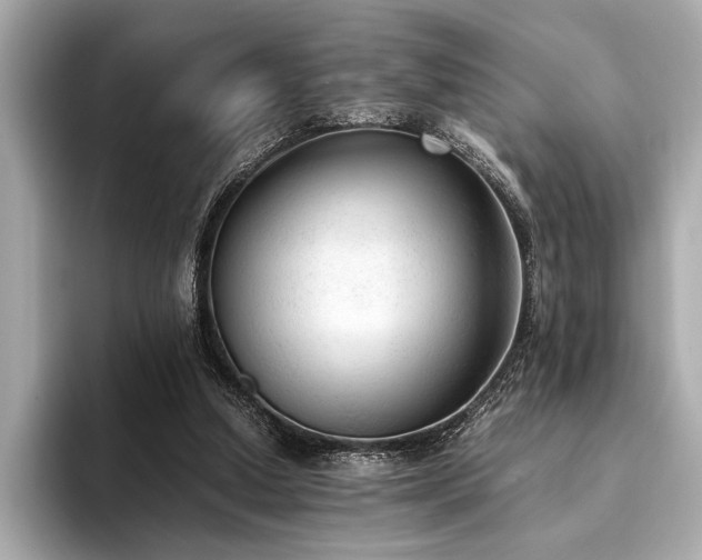 X0000094320250200711021357