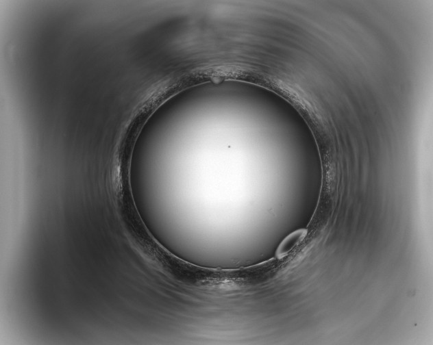 X0000094320254200711021357
