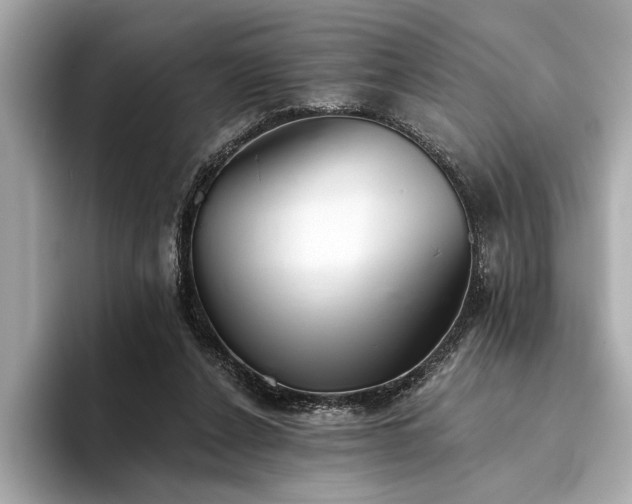 X0000094320256200711021357