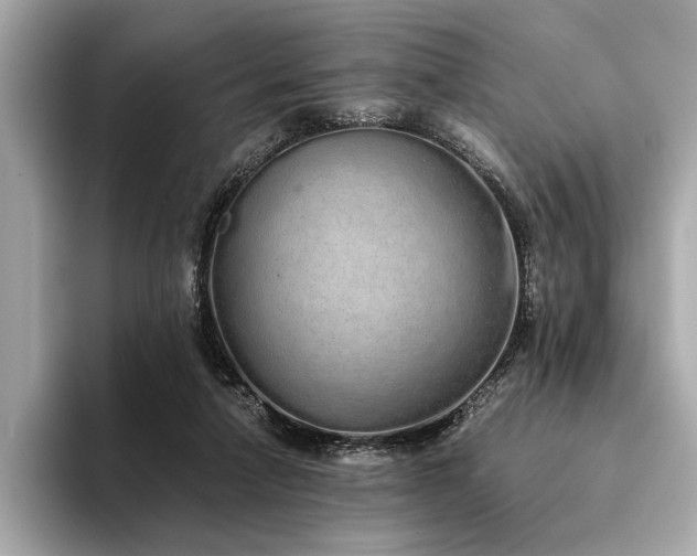 X0000094320258200711021357
