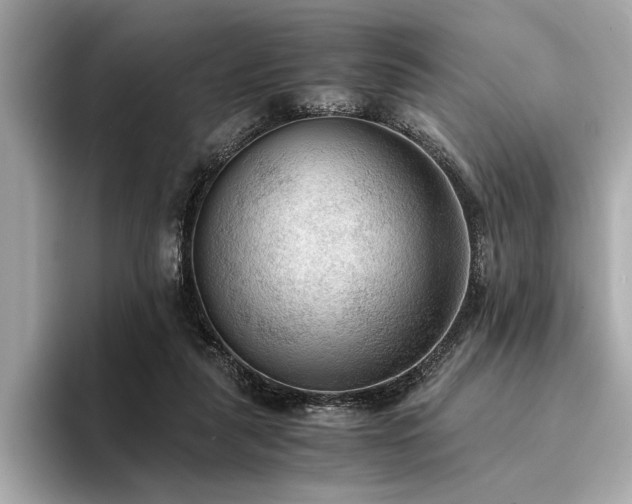 X0000094320259200711021357
