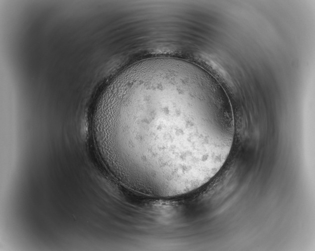 X0000094320261200711021357
