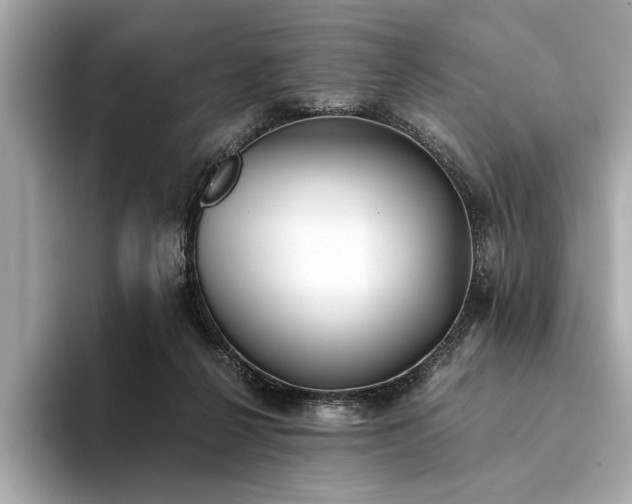 X0000094320264200711021357