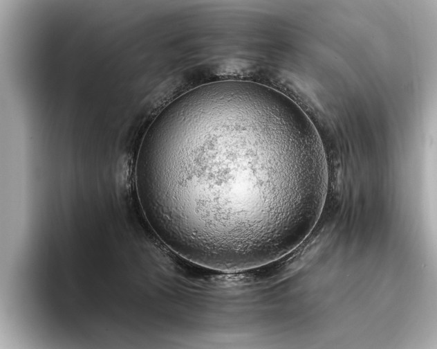 X0000094320273200711021357