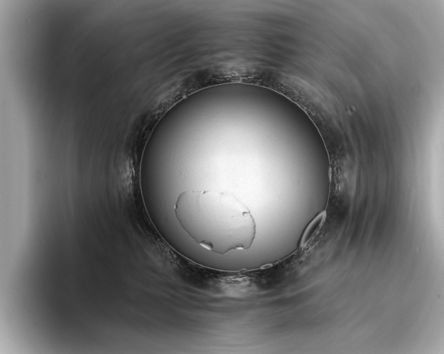 X0000094320279200711021357