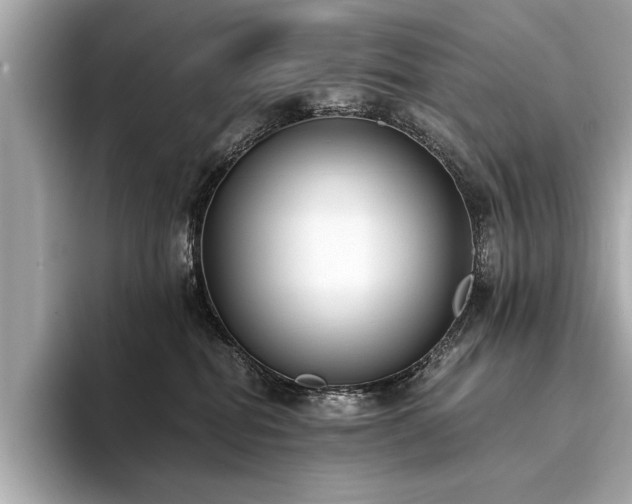 X0000094320282200711021357