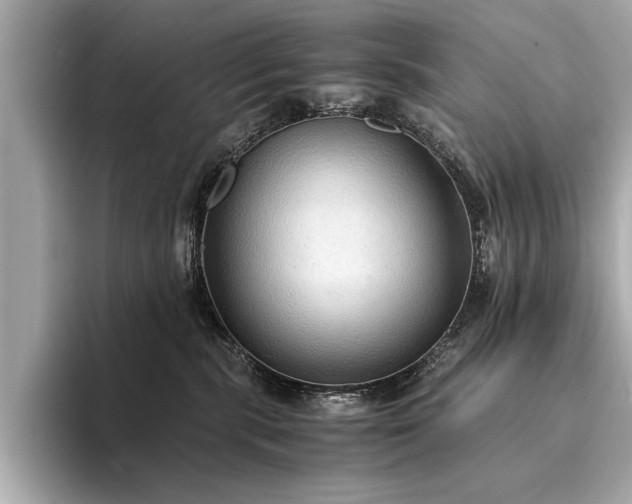 X0000094320283200711021357