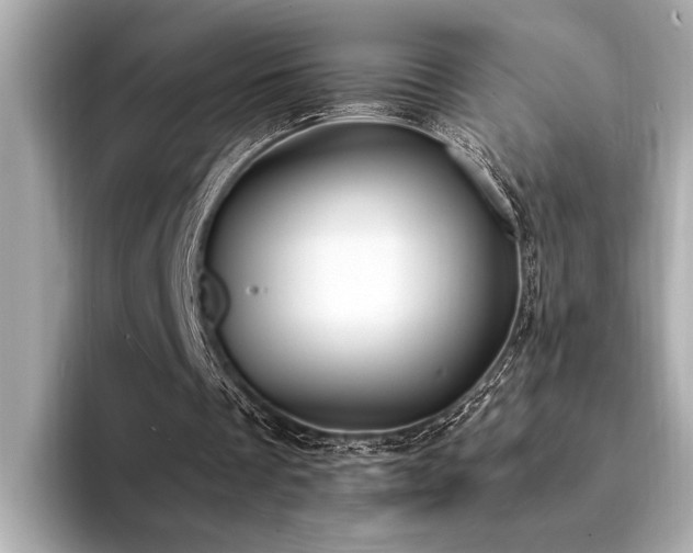 X0000094320289200711021357
