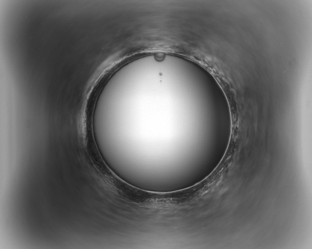 X0000094320296200711021356