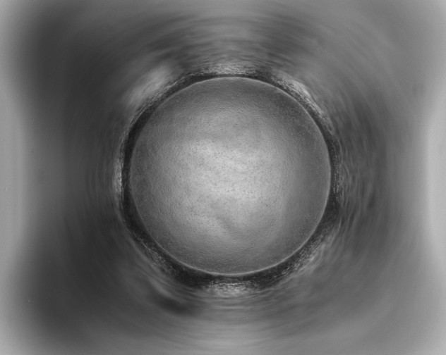 X0000094320299200711021356