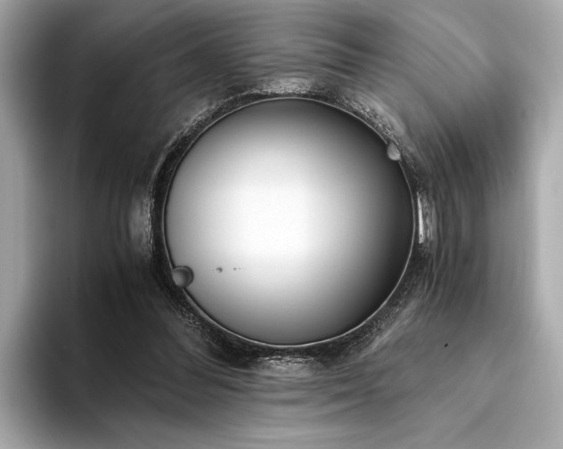 X0000094320300200711021356