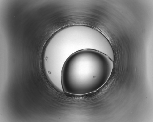 X0000094320301200711021356