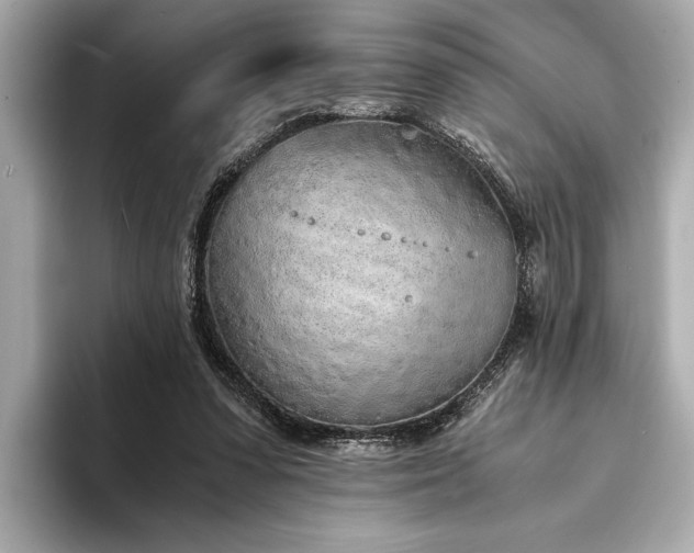 X0000094320303200711021356