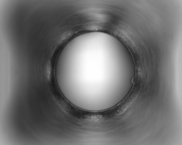 X0000094320304200711021356