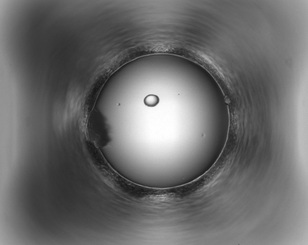 X0000094320307200711021356