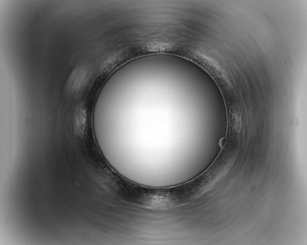 X0000094320308200711021356