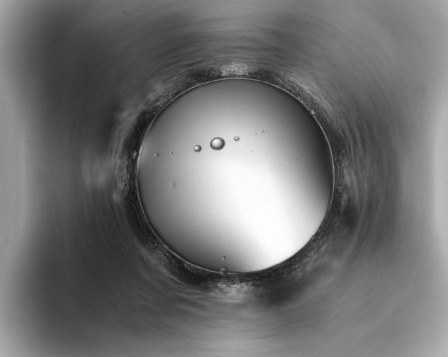 X0000094320311200711021356