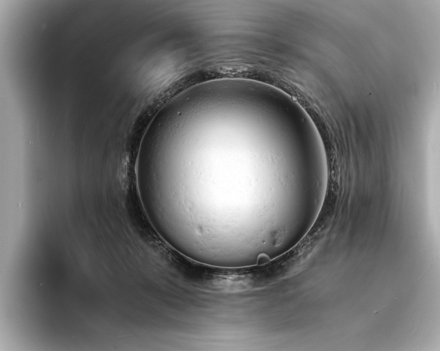 X0000094320319200711021356