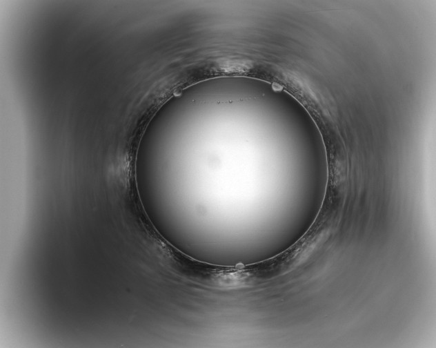 X0000094320321200711021356