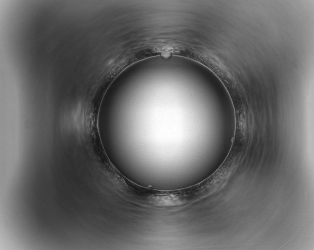 X0000094320322200711021356