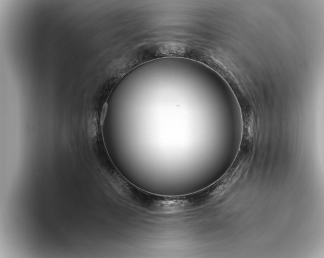 X0000094320323200711021356