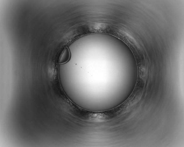 X0000094320324200711021356