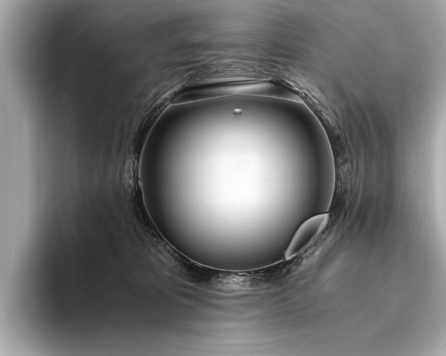 X0000094320325200711021356