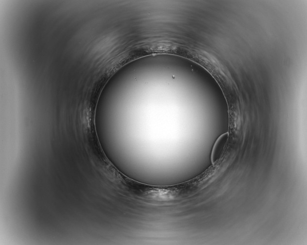 X0000094320326200711021356