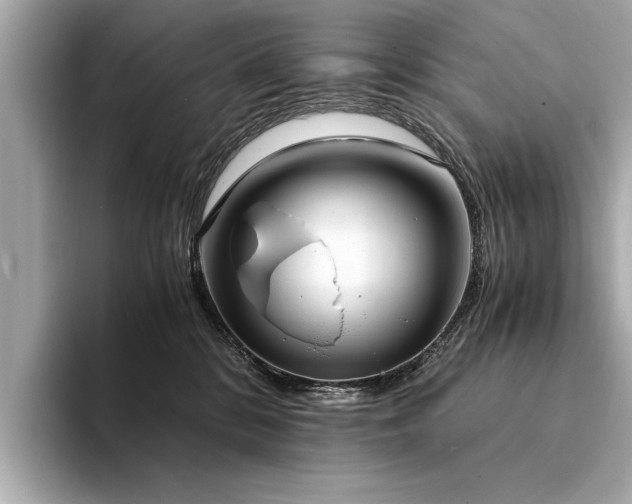 X0000094320328200711021356