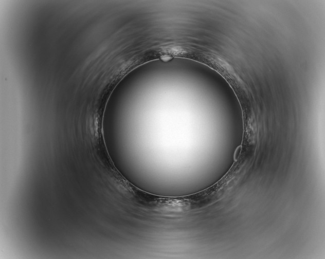 X0000094320330200711021356