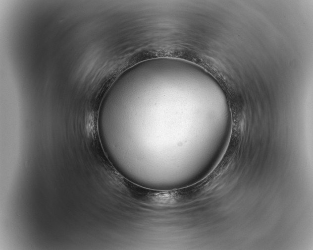 X0000094320335200711021356