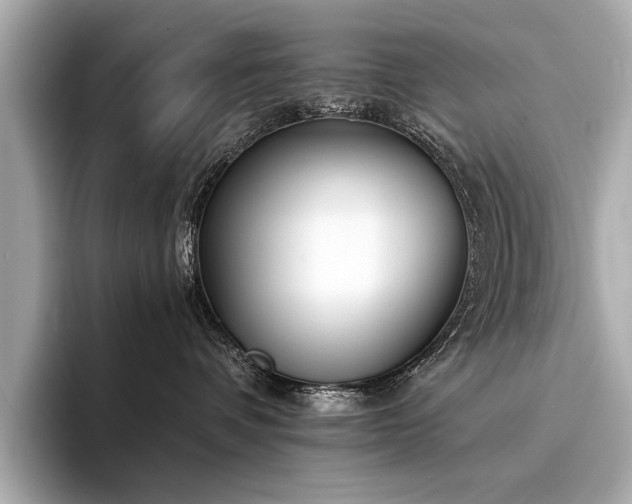 X0000094320336200711021356