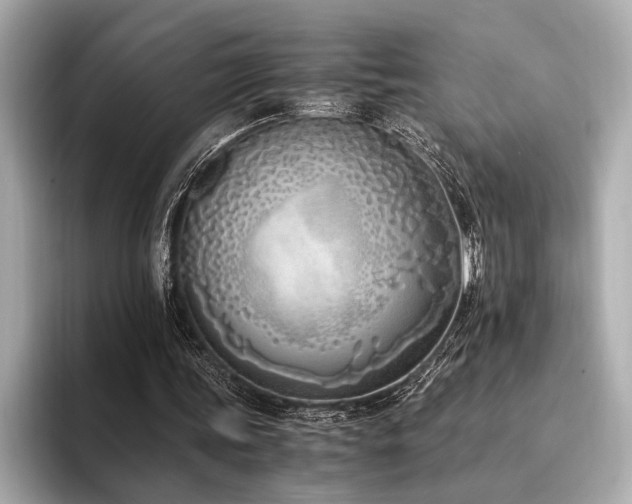 X0000094320339200711021355