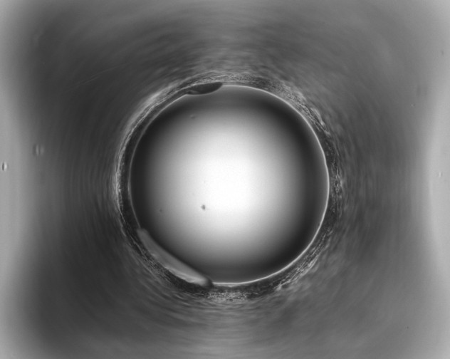 X0000094320340200711021355