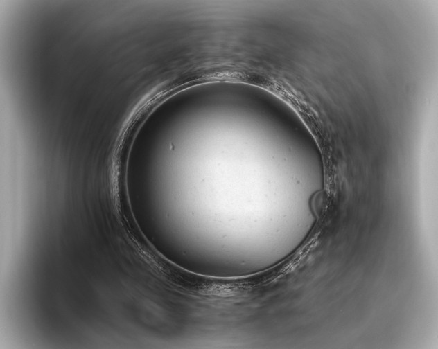 X0000094320341200711021355