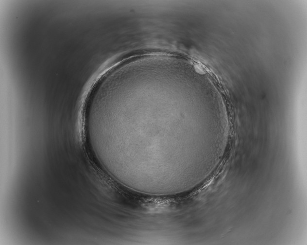 X0000094320343200711021355