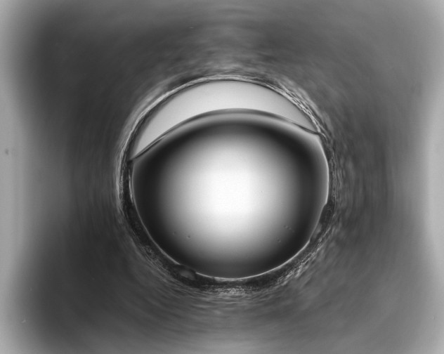 X0000094320344200711021355