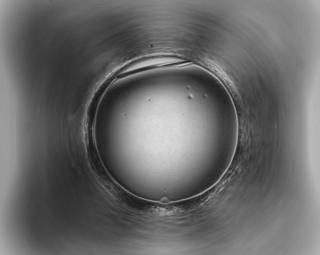 X0000094320346200711021356