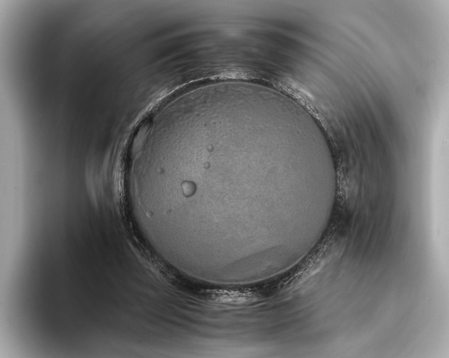 X0000094320347200711021356